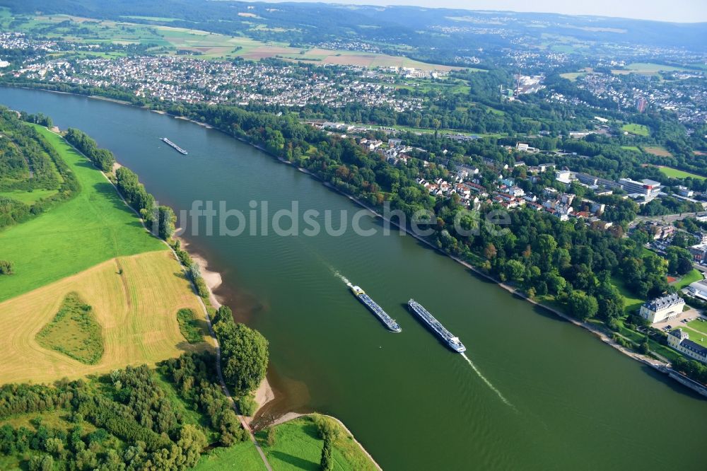 Luftbild Neuwied - Uferbereiche am Flußverlauf des Rhein in Neuwied im Bundesland Rheinland-Pfalz, Deutschland