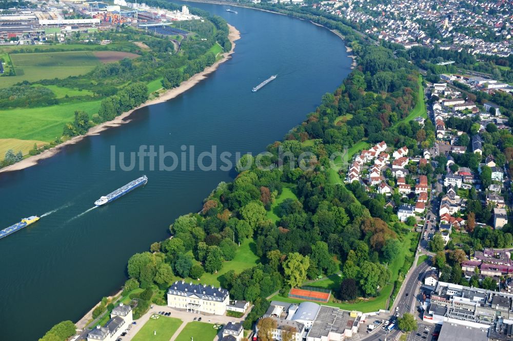 Luftaufnahme Neuwied - Uferbereiche am Flußverlauf des Rhein in Neuwied im Bundesland Rheinland-Pfalz, Deutschland