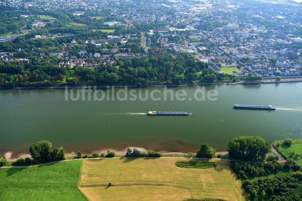 Weißenthurm von oben - Uferbereiche am Flußverlauf des Rhein in Weißenthurm im Bundesland Rheinland-Pfalz, Deutschland