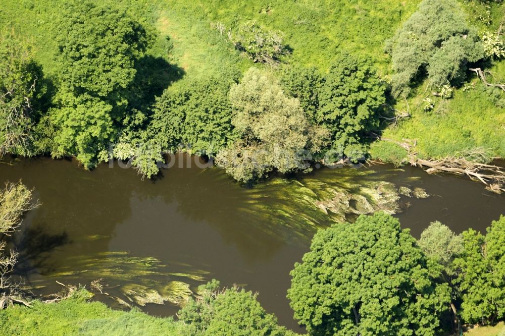 Naumburg (Saale) aus der Vogelperspektive: Uferbereiche am Flußverlauf der Saale mit Algen und Wasserpflanzen im Ortsteil Bad Kösen in Naumburg (Saale) im Bundesland Sachsen-Anhalt, Deutschland