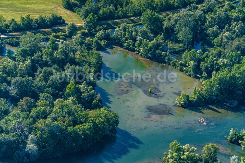 Rhinau aus der Vogelperspektive: Uferbereiche am Flußverlauf Taubergießen Herrentopf am Oberrhein in Rheinau im Bundesland Baden-Württemberg, Deutschland