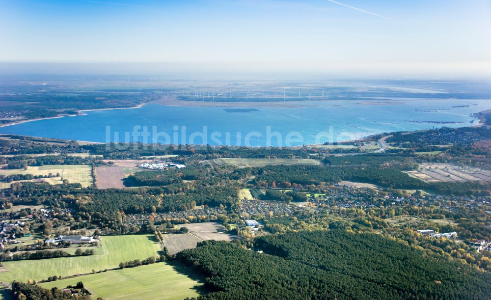 Luftbild Teichland - Uferbereiche des gefluteten ehemaligen Braunkohle- Tagebaus und Renaturierungs- Sees Cottbuser Ostsee in Teichland im Bundesland Brandenburg, Deutschland