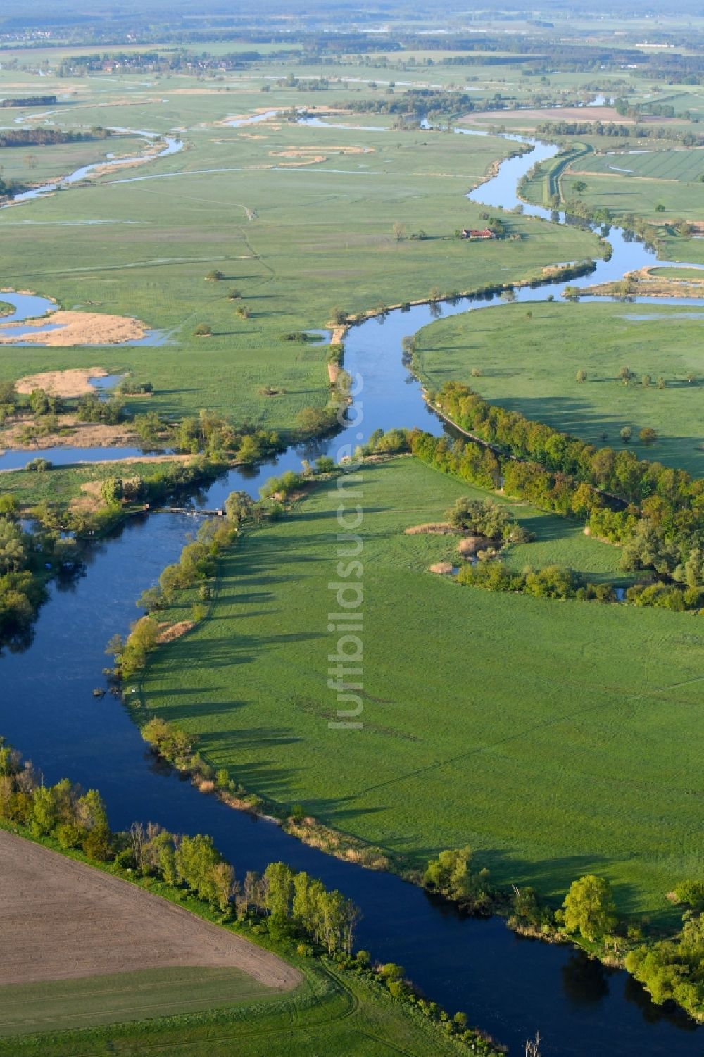 Havelaue von oben - Uferbereiche am Havel Flußverlauf in Havelaue im Bundesland Brandenburg, Deutschland