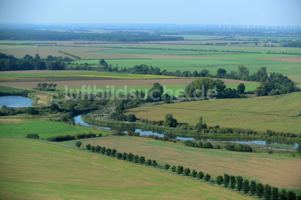 Luftaufnahme Axien - Uferbereiche am Kleindröbener Riß und Landschaft um den Flußverlauf in Axien im Bundesland Sachsen-Anhalt