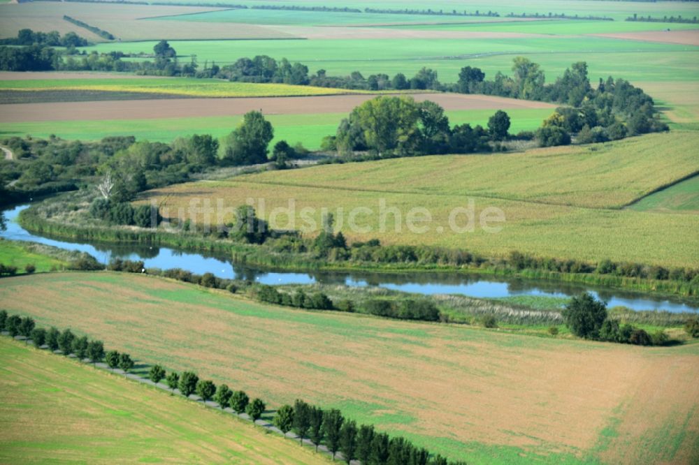 Axien von oben - Uferbereiche am Kleindröbener Riß und Landschaft um den Flußverlauf in Axien im Bundesland Sachsen-Anhalt