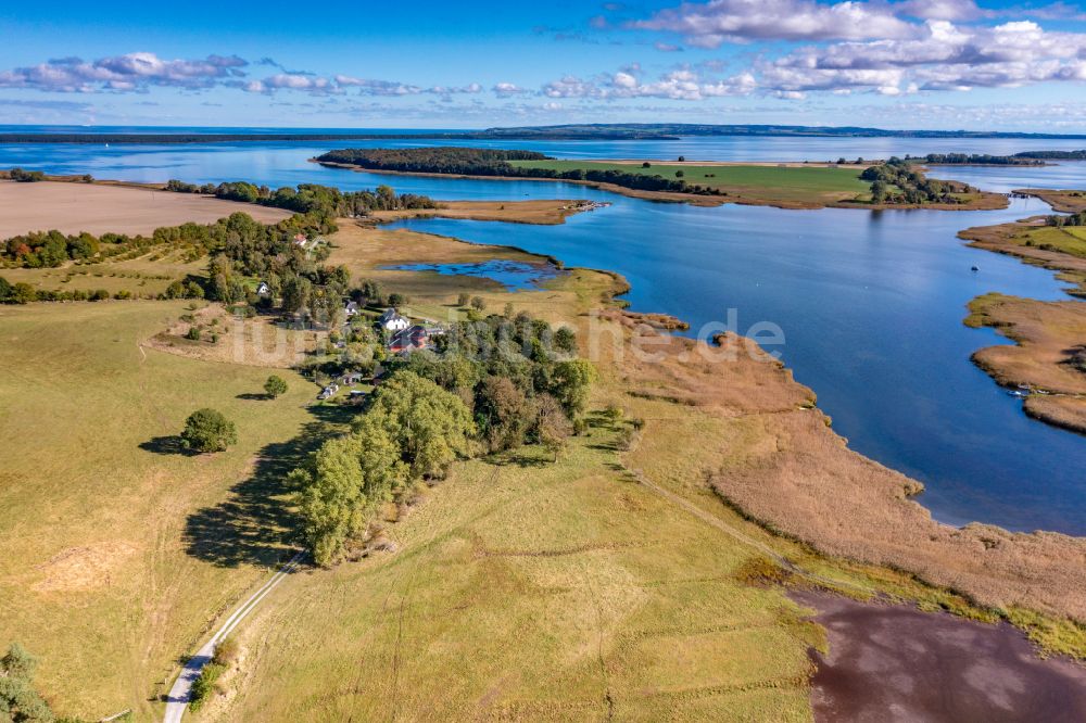 Neuenkirchen von oben - Uferbereiche des Küstengewässer Lebbiner Bodden in Neuenkirchen im Bundesland Mecklenburg-Vorpommern, Deutschland