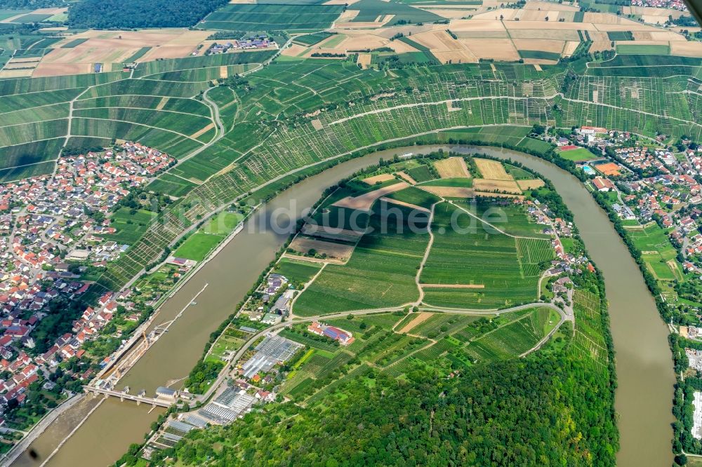 Hessigheim von oben - Uferbereiche am Neckar - Flußverlauf in Hessigheim im Bundesland Baden-Württemberg, Deutschland