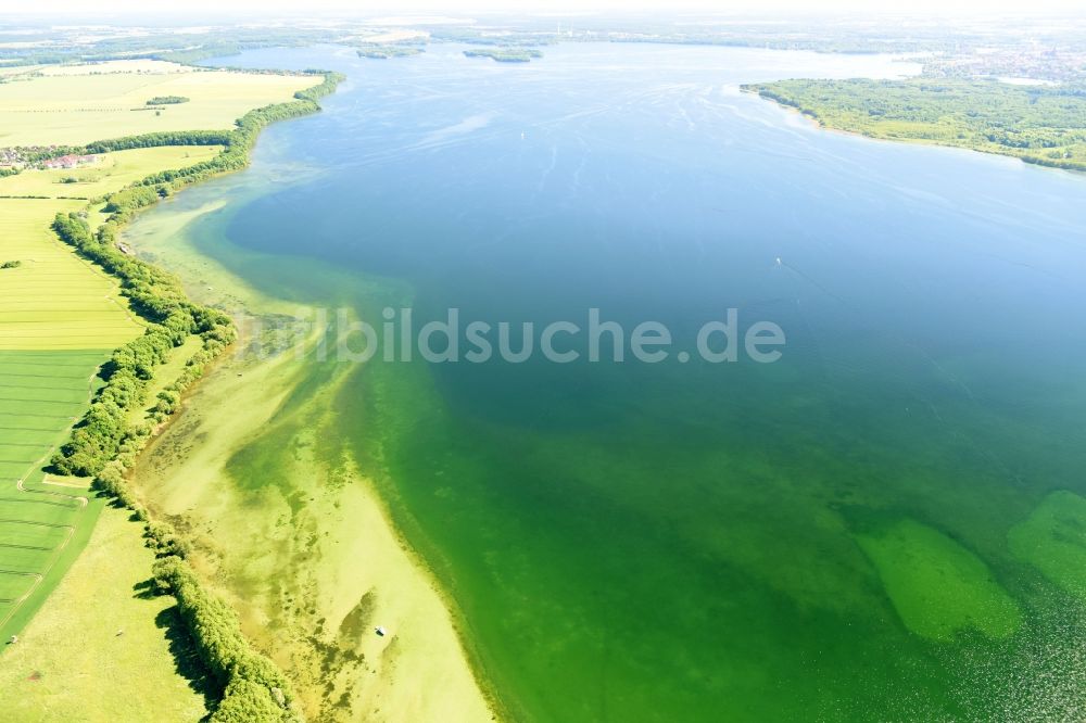 Rugensee von oben - Uferbereiche des Rugensees in Rugensee im Bundesland Mecklenburg-Vorpommern, Deutschland