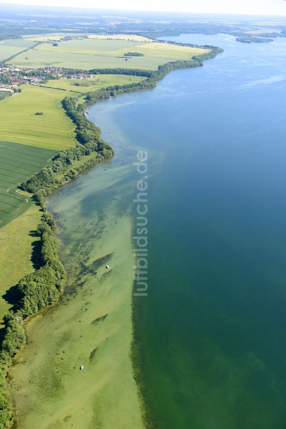 Rugensee aus der Vogelperspektive: Uferbereiche des Rugensees in Rugensee im Bundesland Mecklenburg-Vorpommern, Deutschland