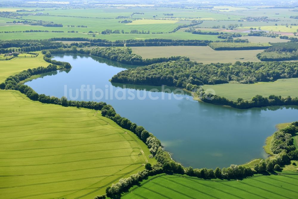 Luftbild Rugensee - Uferbereiche des Rugensees in Rugensee im Bundesland Mecklenburg-Vorpommern, Deutschland