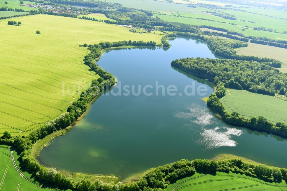 Luftaufnahme Rugensee - Uferbereiche des Rugensees in Rugensee im Bundesland Mecklenburg-Vorpommern, Deutschland