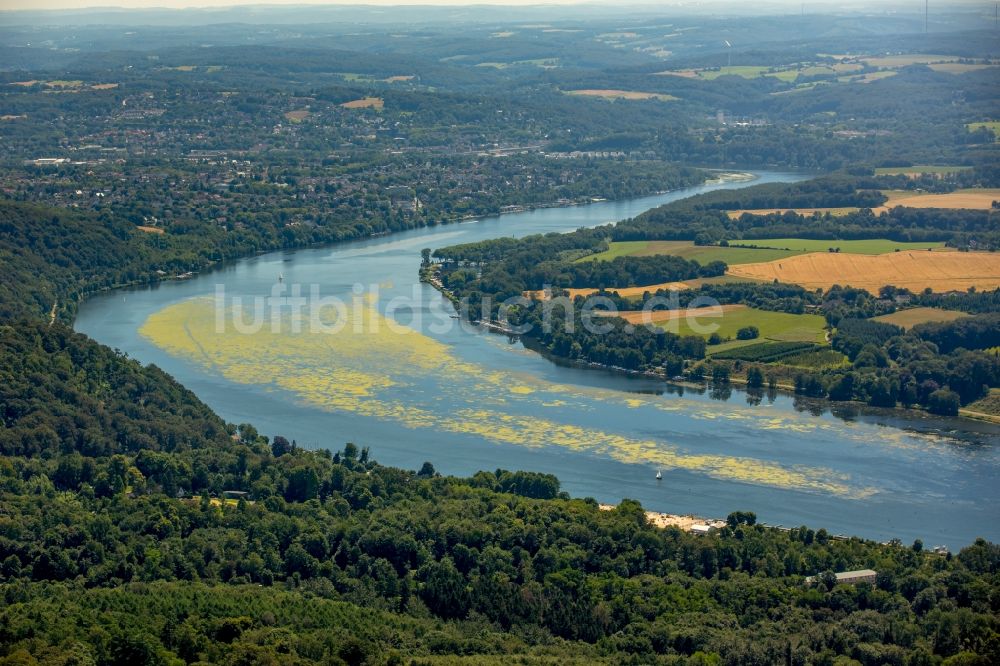 Luftaufnahme Essen - Uferbereiche am Ruhr Flußverlauf in Essen im Bundesland Nordrhein-Westfalen