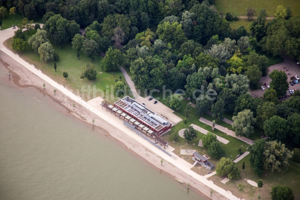 Mannheim von oben - Uferbereiche am Sandstrand des Rhein-Strandbad Mannheim-Neckarau im Ortsteil Neckarau in Mannheim im Bundesland Baden-Württemberg, Deutschland