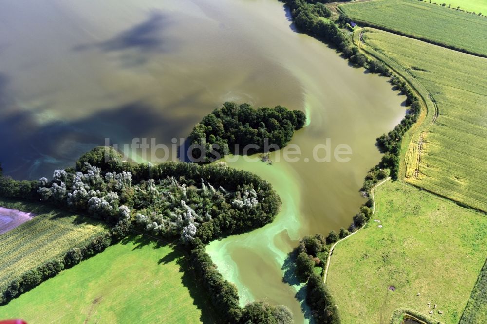 Sankelmark aus der Vogelperspektive: Uferbereiche des See Sankelmarker See in Sankelmark im Bundesland Schleswig-Holstein