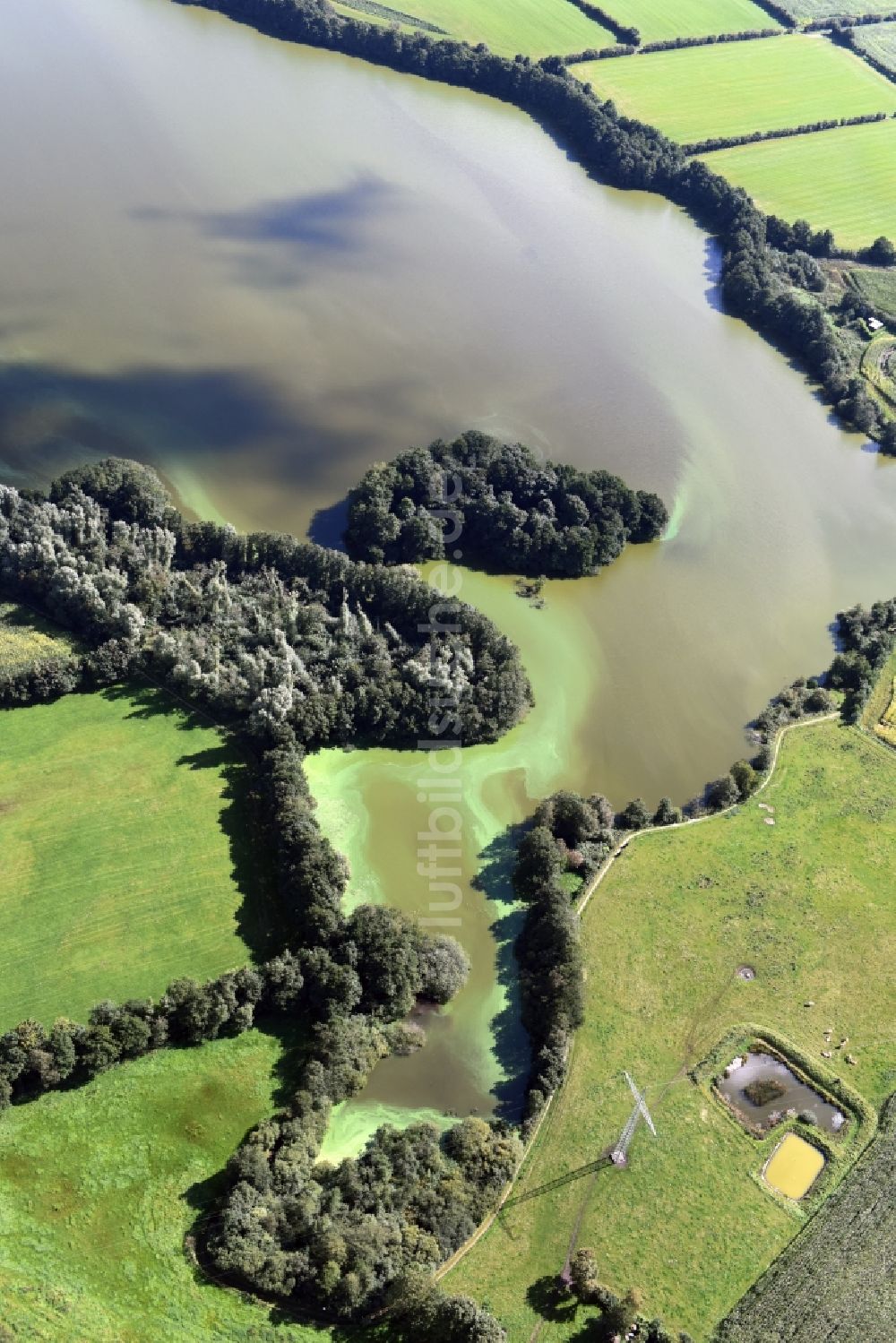 Luftbild Sankelmark - Uferbereiche des See Sankelmarker See in Sankelmark im Bundesland Schleswig-Holstein