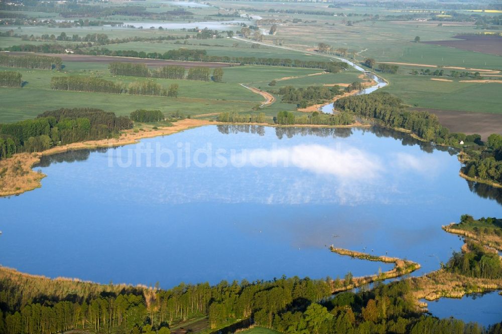 Luftbild Dreetz - Uferbereiche am Seegebiet des Dreetzer Sees und Wolken über der Wasseroberfläche in Dreetz im Bundesland Brandenburg, Deutschland