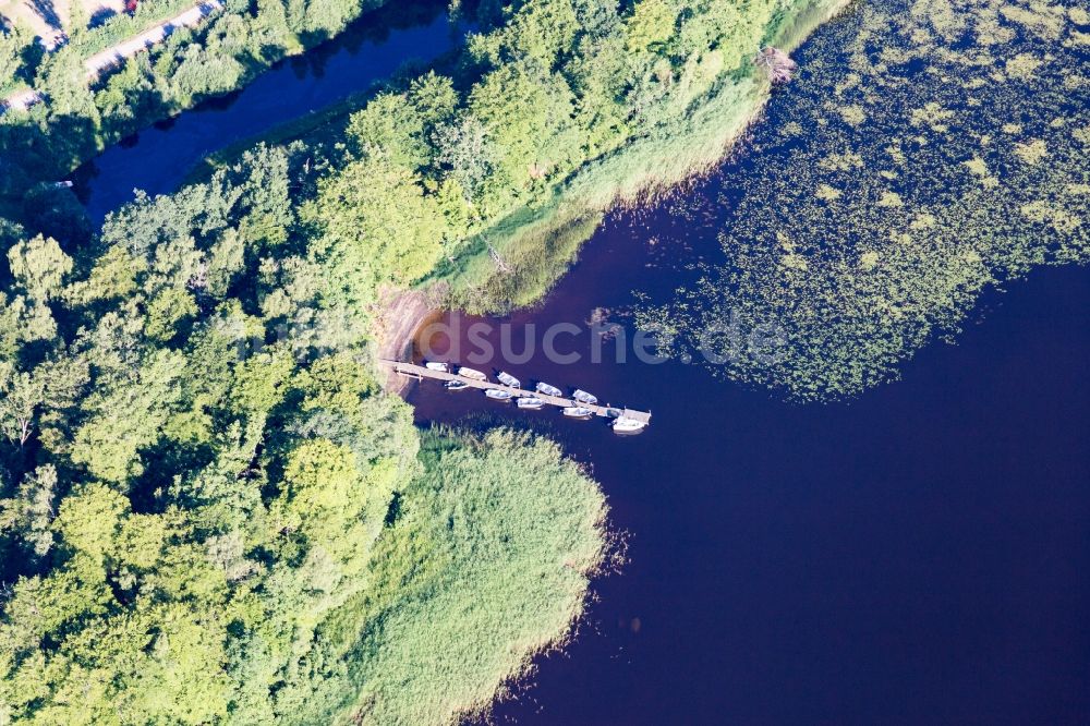 Torne von oben - Uferbereiche mit Seerosen, Bootsanlege- und Badestelle des moorfarbenen Åsnen-See (Småland) in Tornein Kronobergs län, Schweden