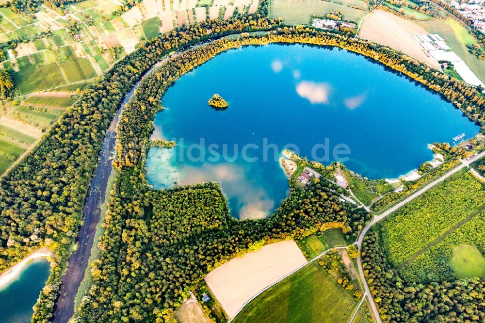 Eggenstein-Leopoldshafen von oben - Uferbereiche eines Sees am Althrein in einem Waldgebiet in Eggenstein-Leopoldshafen im Bundesland Baden-Württemberg, Deutschland