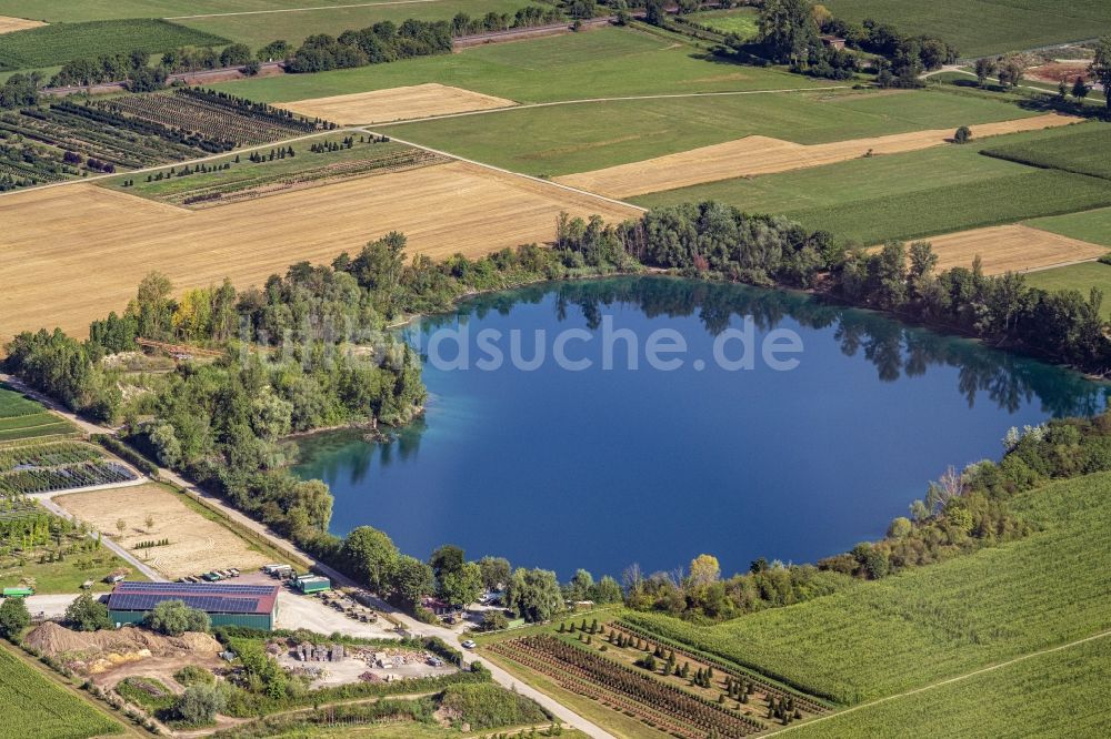 Luftaufnahme Ettenheim - Uferbereiche des Sees Apostelsee in Ettenheim im Bundesland Baden-Württemberg, Deutschland