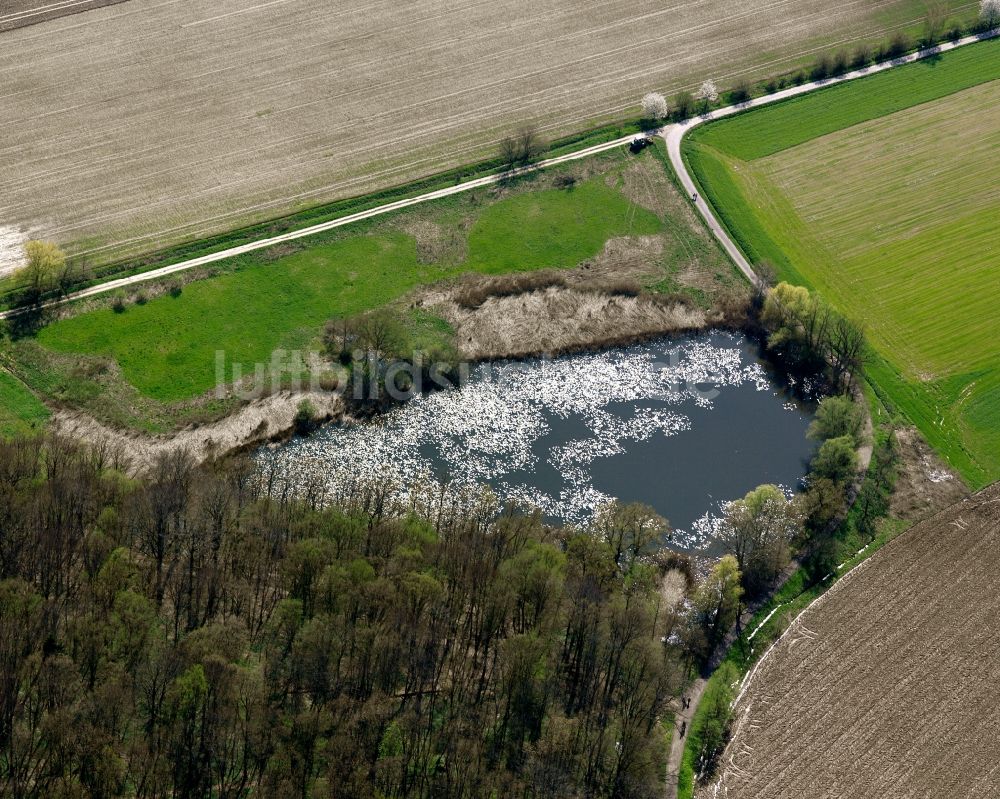 Sparwiesen von oben - Uferbereiche des Sees Charlottensee in Sparwiesen im Bundesland Baden-Württemberg, Deutschland