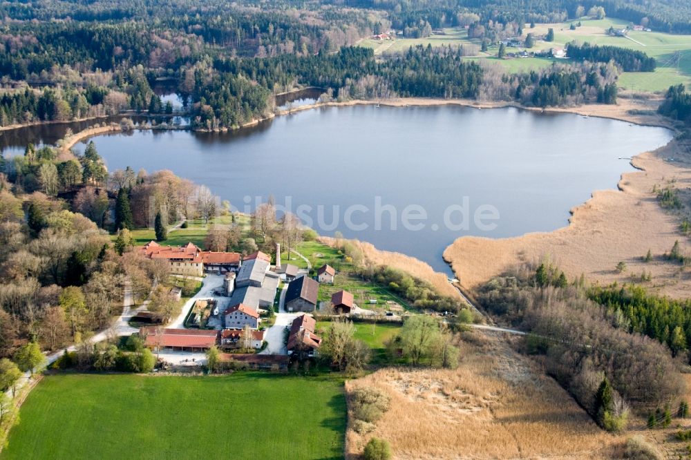 Luftbild Tutzing - Uferbereiche des Sees Deixelfurter Weiher in Tutzing im Bundesland Bayern, Deutschland