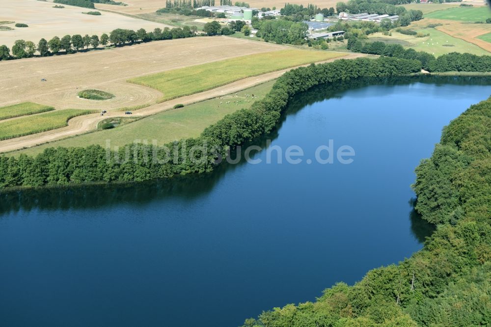 Feldberger Seenlandschaft von oben - Uferbereiche des Sees Dolgener See der Feldberger Seenlandschaft im Bundesland Mecklenburg-Vorpommern