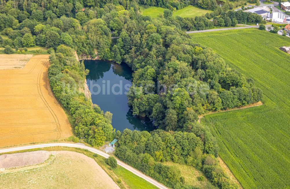 Drewer von oben - Uferbereiche des Sees in einem Waldgebiet in Drewer im Bundesland Nordrhein-Westfalen, Deutschland