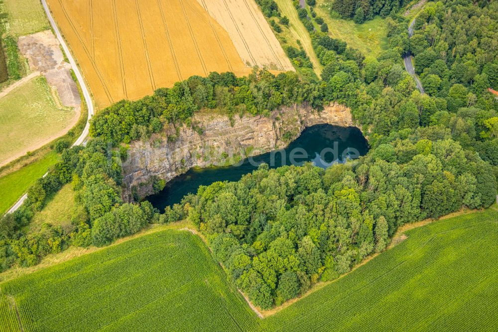 Luftbild Drewer - Uferbereiche des Sees in einem Waldgebiet in Drewer im Bundesland Nordrhein-Westfalen, Deutschland