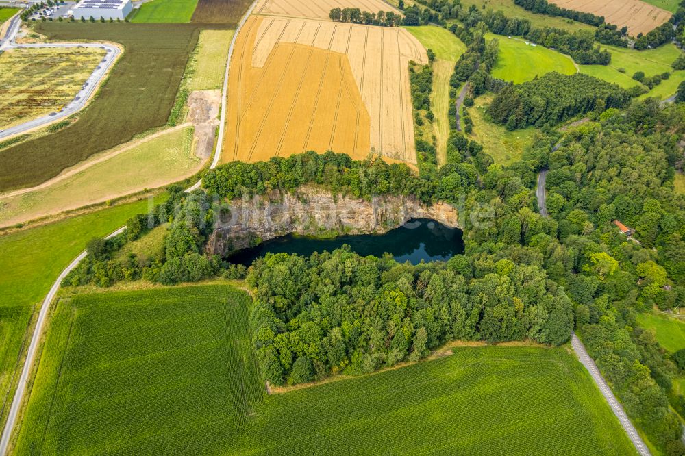 Luftaufnahme Drewer - Uferbereiche des Sees in einem Waldgebiet in Drewer im Bundesland Nordrhein-Westfalen, Deutschland