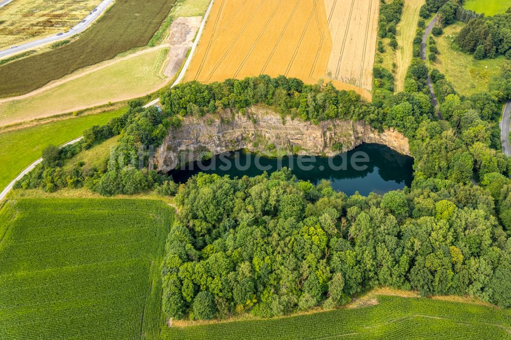 Drewer von oben - Uferbereiche des Sees in einem Waldgebiet in Drewer im Bundesland Nordrhein-Westfalen, Deutschland