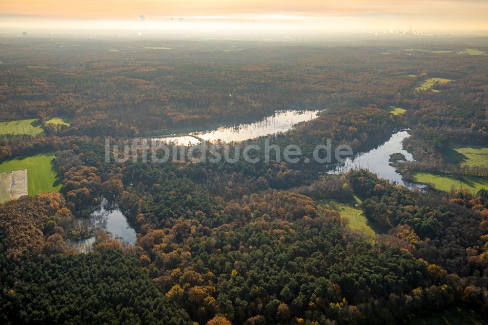 Kirchhellen aus der Vogelperspektive: Uferbereiche des Sees Elsbachsee in Kirchhellen im Bundesland Nordrhein-Westfalen, Deutschland