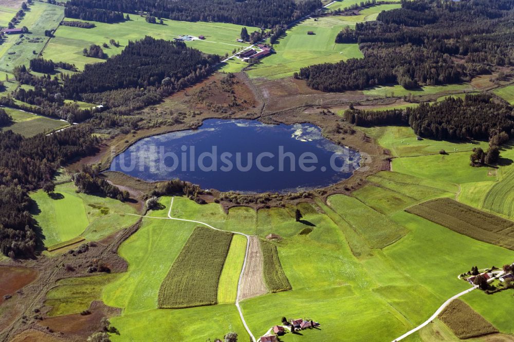 Luftaufnahme Pittenhart - Uferbereiche des Sees Eschenauer See in Pittenhart im Bundesland Bayern, Deutschland