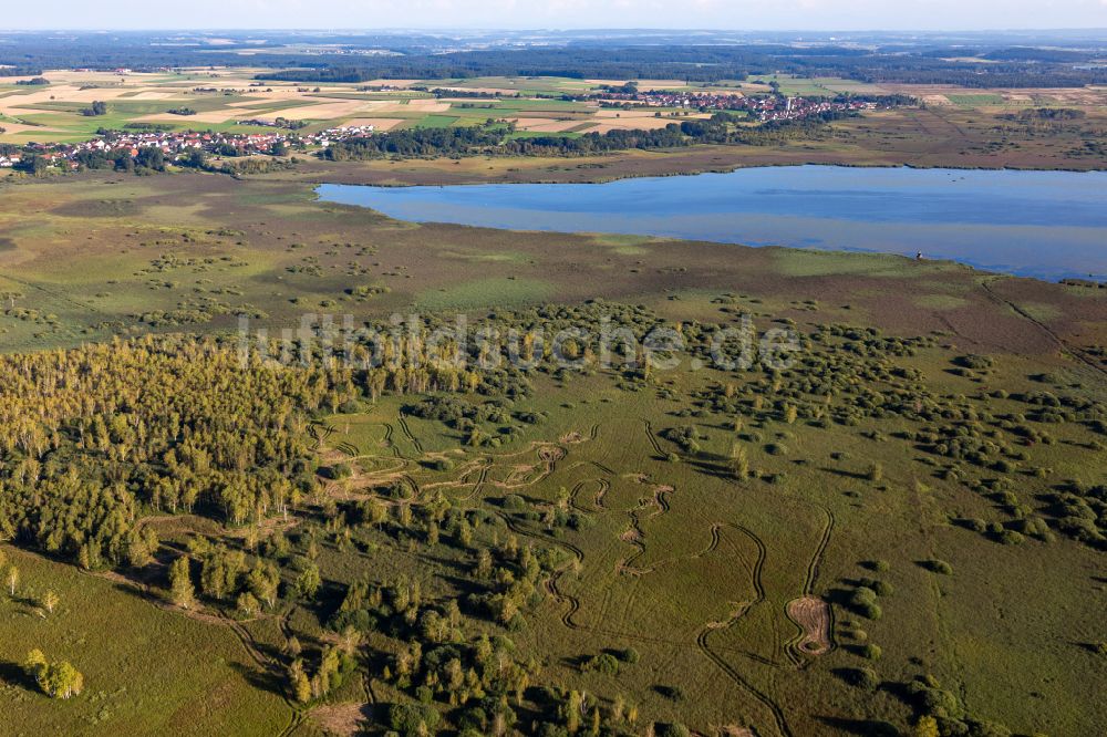 Luftaufnahme Federsee - Uferbereiche des Sees Federsee in Federsee im Bundesland Baden-Württemberg, Deutschland