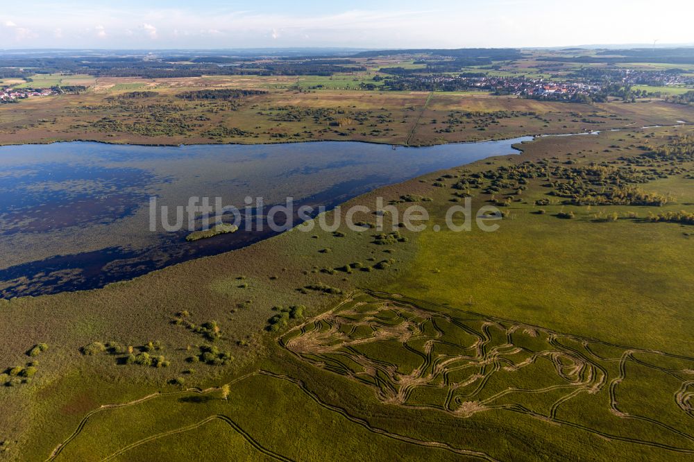 Federsee aus der Vogelperspektive: Uferbereiche des Sees Federsee in Federsee im Bundesland Baden-Württemberg, Deutschland