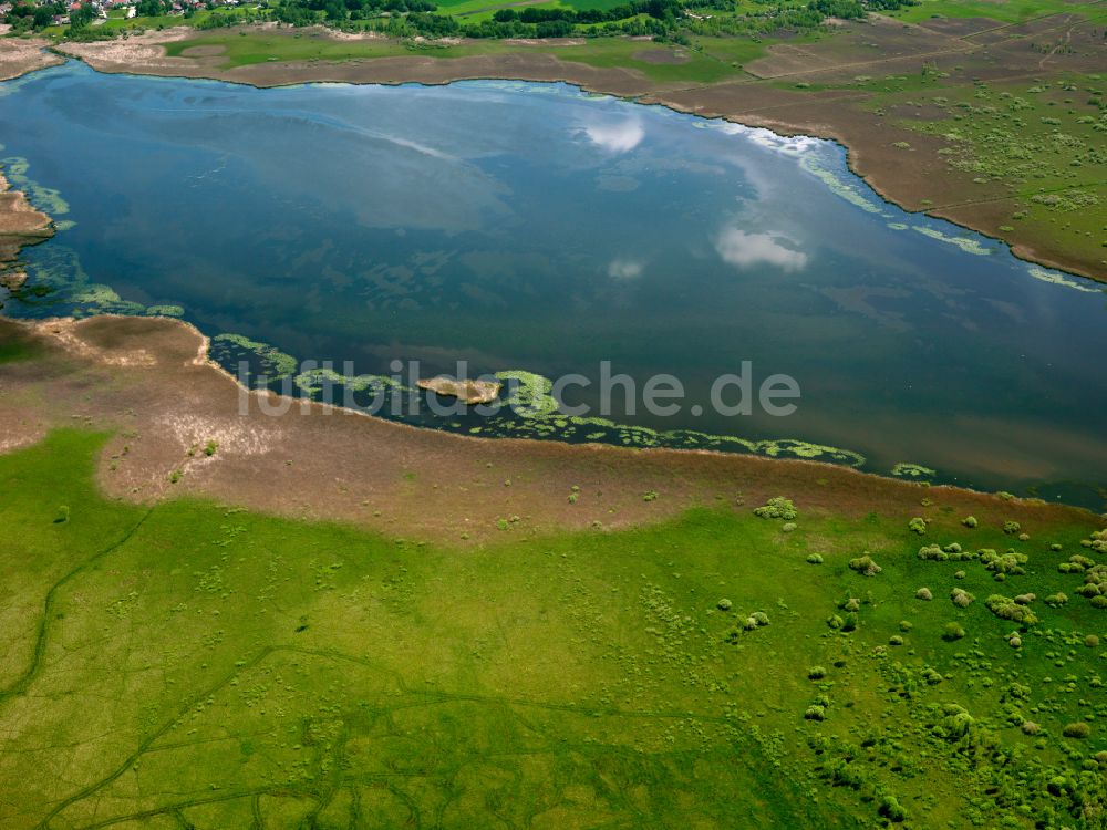 Luftbild Federsee - Uferbereiche des Sees Federsee in Federsee im Bundesland Baden-Württemberg, Deutschland