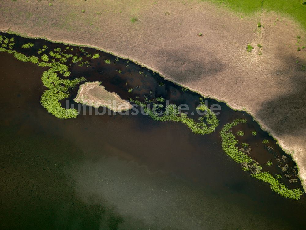 Luftbild Federsee - Uferbereiche des Sees Federsee in Federsee im Bundesland Baden-Württemberg, Deutschland