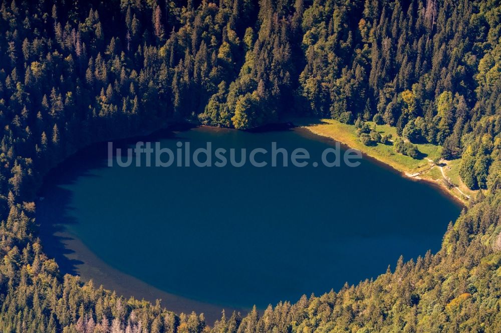 Luftaufnahme Feldberg (Schwarzwald) - Uferbereiche des Sees Feldsee in Feldberg (Schwarzwald) im Bundesland Baden-Württemberg, Deutschland