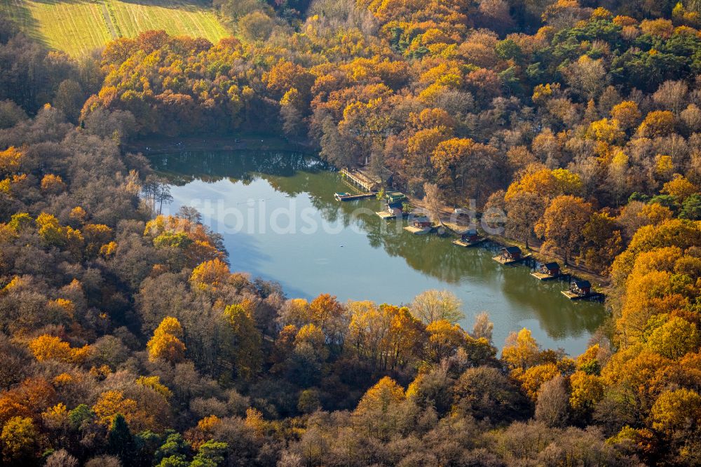 Bottrop von oben - Uferbereiche des Sees Forellensee in Bottrop im Bundesland Nordrhein-Westfalen, Deutschland