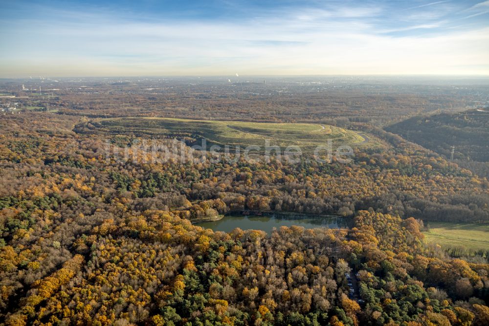 Luftbild Bottrop - Uferbereiche des Sees Forellensee in Bottrop im Bundesland Nordrhein-Westfalen, Deutschland