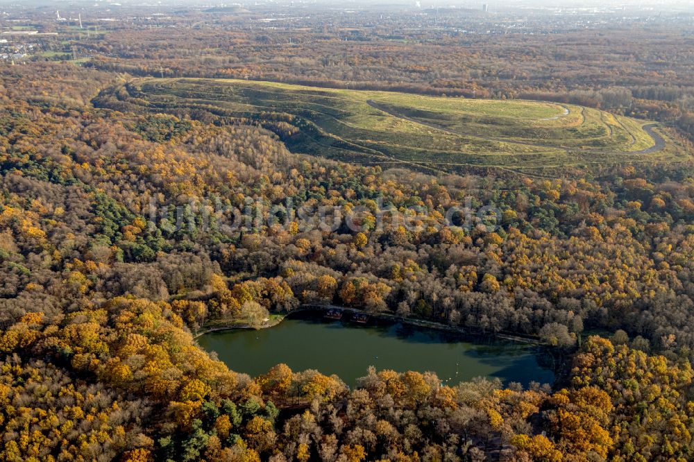 Luftaufnahme Bottrop - Uferbereiche des Sees Forellensee in Bottrop im Bundesland Nordrhein-Westfalen, Deutschland