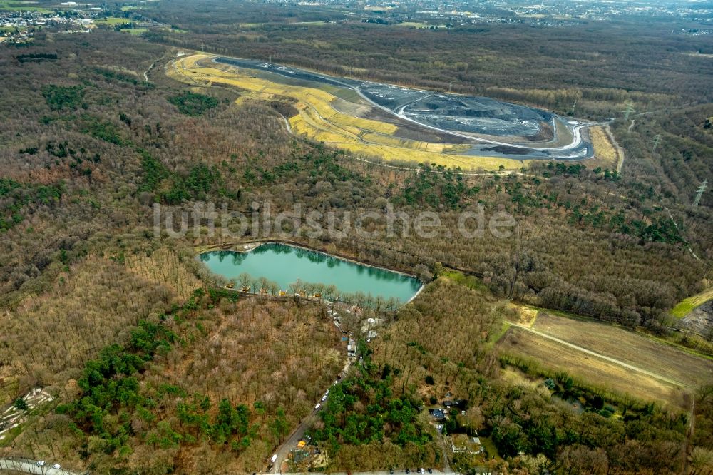 Bottrop von oben - Uferbereiche des Sees Forellensee und Halde Haniel in Bottrop im Bundesland Nordrhein-Westfalen, Deutschland