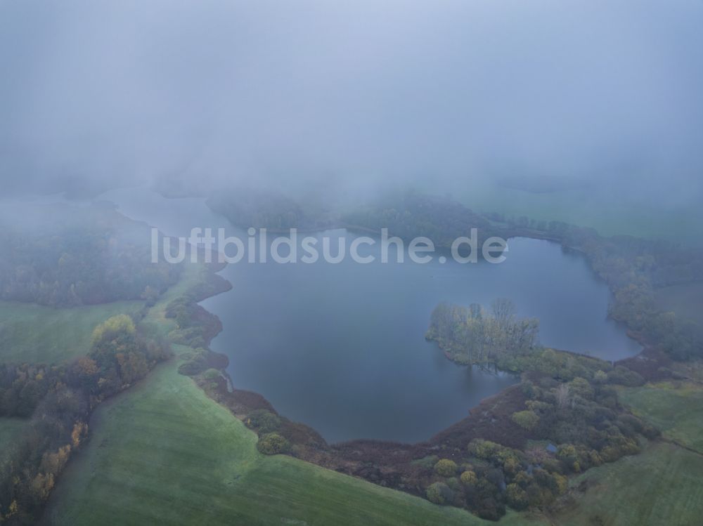 Moritzburg von oben - Uferbereiche des Sees Frauenteich in einem Waldgebiet in Moritzburg im Bundesland Sachsen, Deutschland