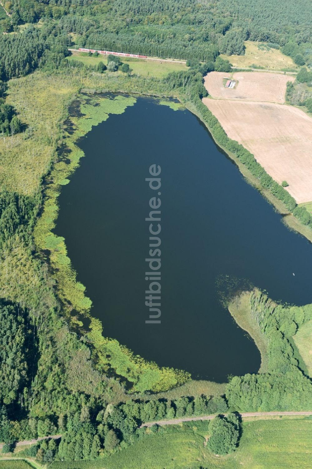 Thurow von oben - Uferbereiche des Sees Freischulzensee in Thurow im Bundesland Mecklenburg-Vorpommern