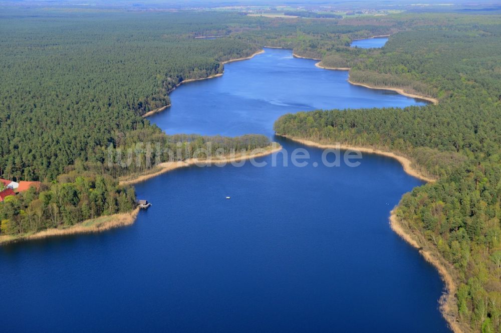 Luftbild Groß Dölln - Uferbereiche des Sees Großdöllner See in den Waldgebieten bei Groß Dölln im Bundesland Brandenburg