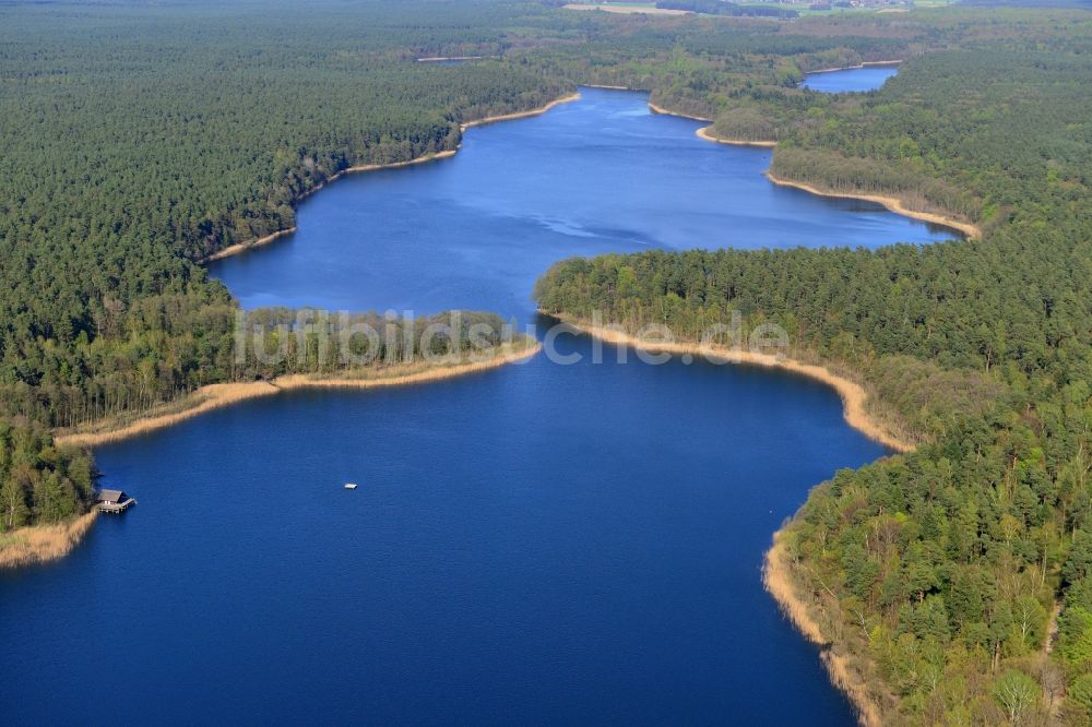 Luftaufnahme Groß Dölln - Uferbereiche des Sees Großdöllner See in den Waldgebieten bei Groß Dölln im Bundesland Brandenburg