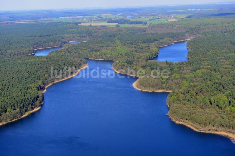 Groß Dölln von oben - Uferbereiche des Sees Großdöllner See in den Waldgebieten bei Groß Dölln im Bundesland Brandenburg