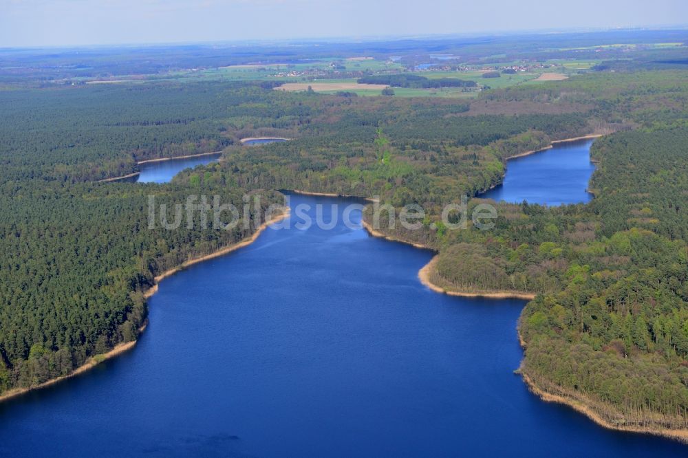 Groß Dölln aus der Vogelperspektive: Uferbereiche des Sees Großdöllner See in den Waldgebieten bei Groß Dölln im Bundesland Brandenburg