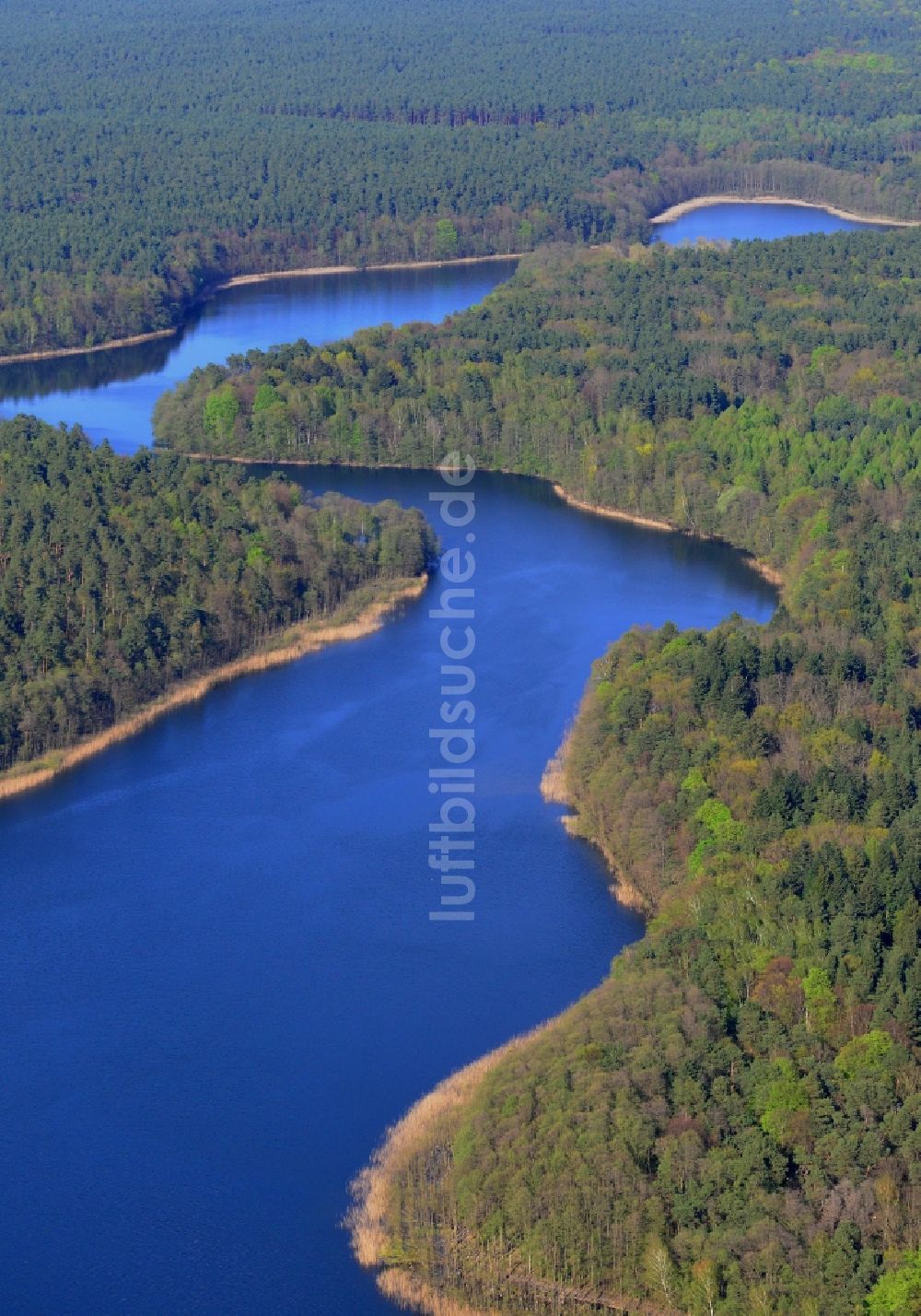 Luftbild Groß Dölln - Uferbereiche des Sees Großdöllner See in den Waldgebieten bei Groß Dölln im Bundesland Brandenburg