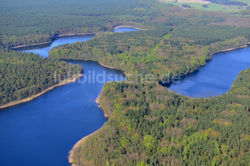 Luftaufnahme Groß Dölln - Uferbereiche des Sees Großdöllner See in den Waldgebieten bei Groß Dölln im Bundesland Brandenburg