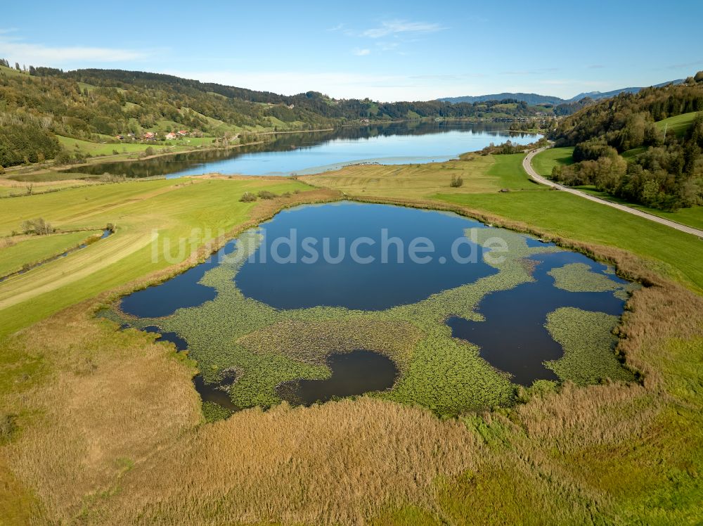 Immenstadt im Allgäu aus der Vogelperspektive: Uferbereiche des Sees Großer Alpsee im Tal der Berglandschaft in Immenstadt im Allgäu im Bundesland Bayern, Deutschland